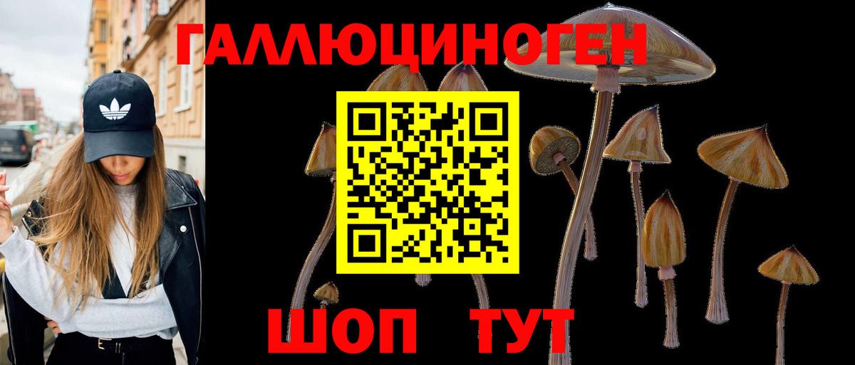 Псилоцибиновые грибы прущие грибы Лабинск